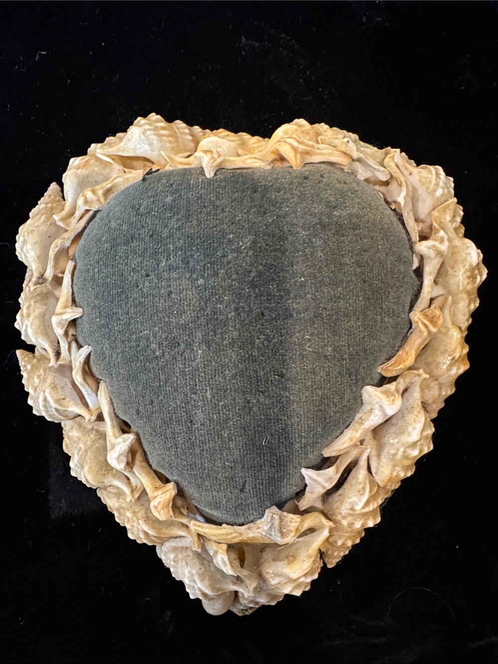 Rare Antique Victorian Sea Shell Folk Art Sailor’s Valentine Pin Cushion